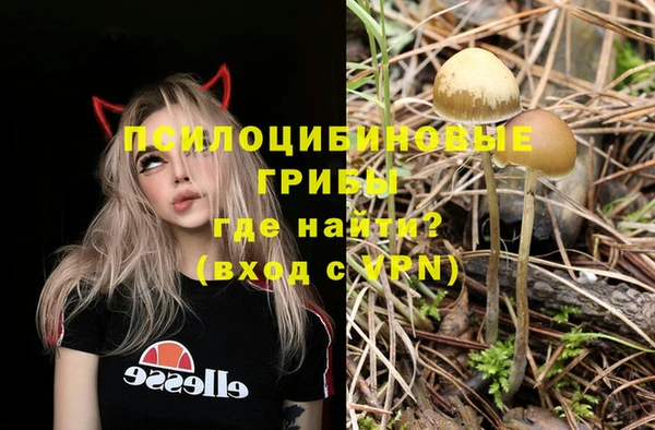 mix Дмитров